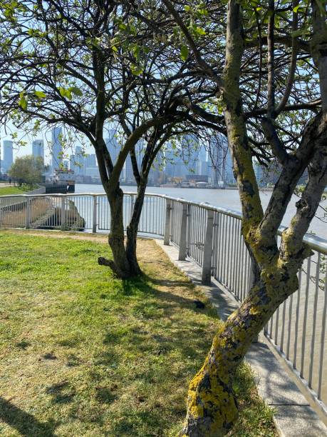 istock View to Canary Wharf from the Dome 1220717116