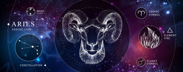 Modern magic witchcraft card with astrology Aries zodiac sign. Realistic hand drawing ram or mouflon head. Zodiac characteristic Modern magic witchcraft card with astrology Aries zodiac sign. Realistic hand drawing ram or mouflon head. Zodiac characteristic tarot cards illustrations stock illustrations