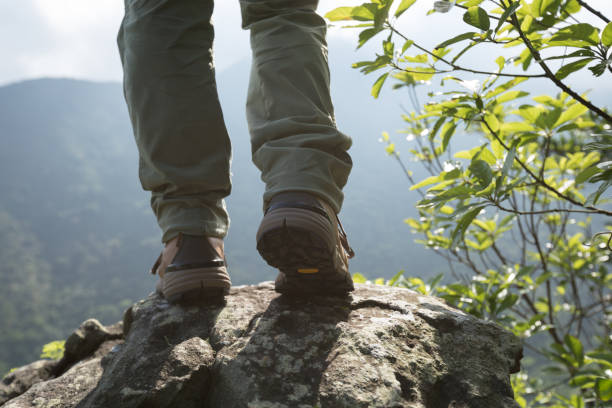 istock Successful hiker enjoy the view on mountain top cliff edge 1220718283