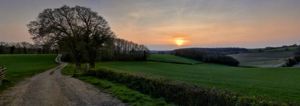 istock Panoramic view of landscape overlooking fields at sunset in The Chilterns, England 1220719496
