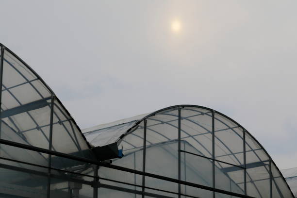 istock sun and vinyl greenhouses 1220721284
