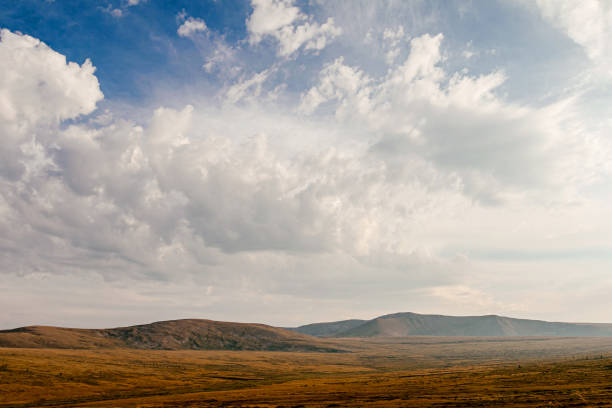 istock Altai mountain valley autumn withering grass 1220722807