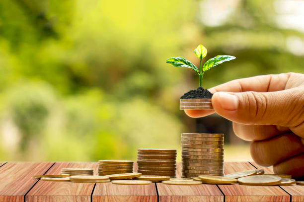 istock Planting small trees by hand on a coin stack includes natural wood flooring and sunlight. Financial accounting concepts, save money and grow financially. 1220724820