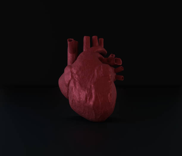 istock Human heart on a black background. 3d illustration 1220725546
