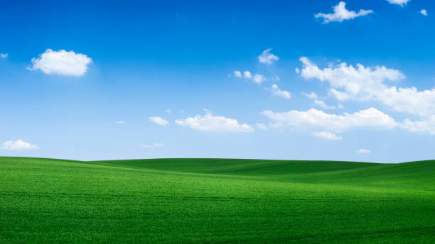 istock Panoramic spring landscape XXXXL 73 MPix - green field, blue sky 1220728247
