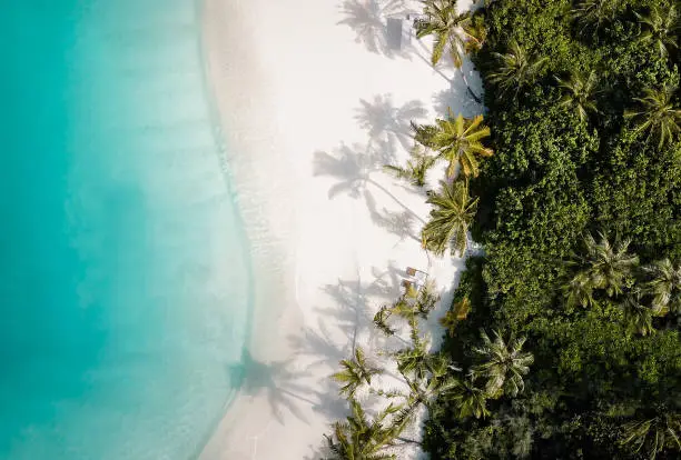 Tropical island shore at Maldives Indian Ocean atoll from above with palm tree sandy beach