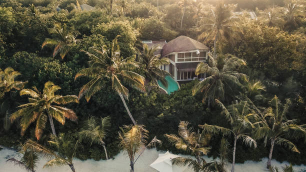 maldive island jungle beach villa dall'alto - luxury hotel palm tree lush foliage asia foto e immagini stock