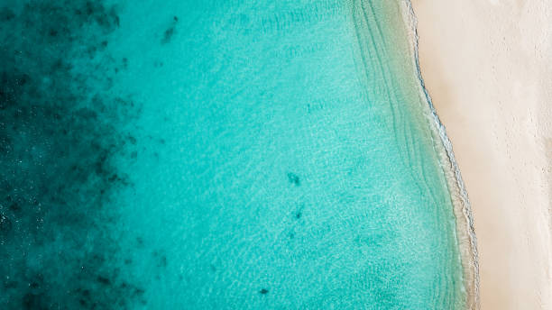 istock Tropical island beach from above 1220728893