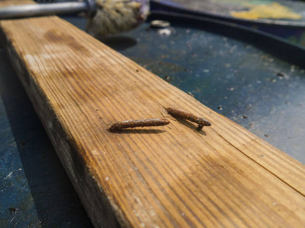 istock Rust nails in wooden on fuel tank 1220729999