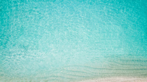 istock Tropical island beach from above 1220730924