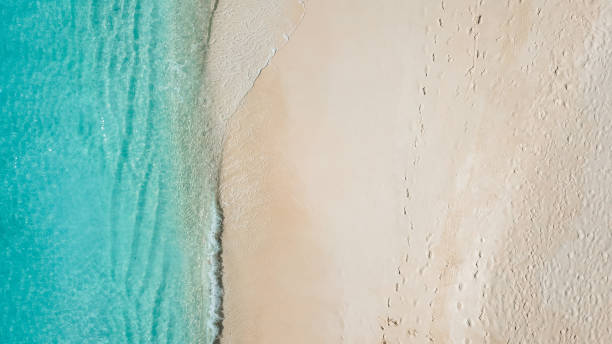 istock Tropical island beach from above 1220730927
