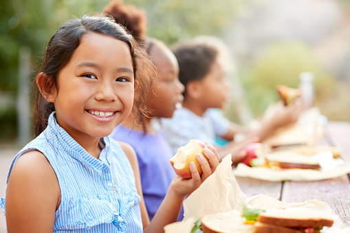 Portrait Of Girl With Friends Eating Healthy Picnic At Outdoor Table In Countryside