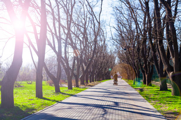 istock People walk along the alley in the spring park. 1220733650