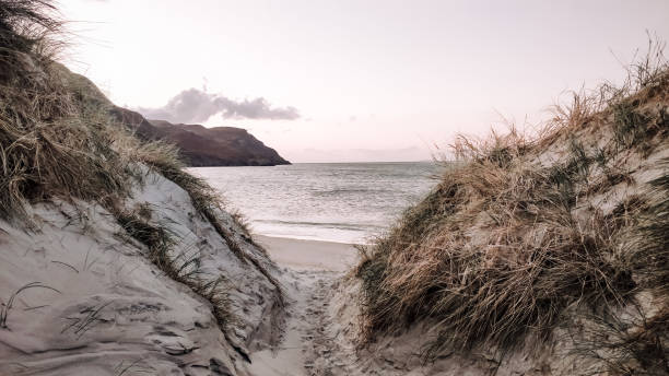 istock path through the dunes to the beach 1220734781