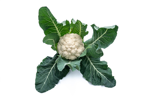 Cauliflower Cabbage fresh with leaves isolated on white background