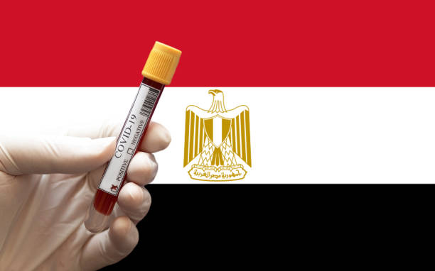 Positive COVID-19 blood test tube with Flag of Egypt at background. stock photo