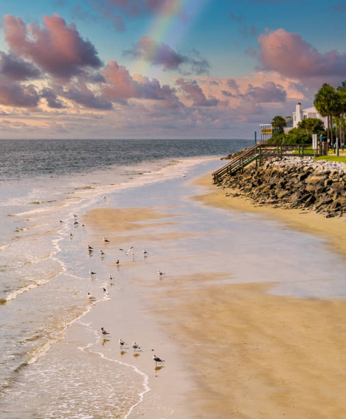 istock Seagulls Between Sea and Seawall 1220735660