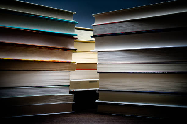 istock Pile of books 1220736426