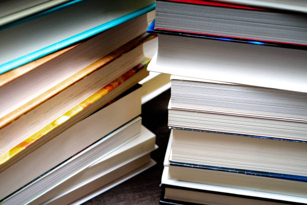 istock Pile of books 1220736441