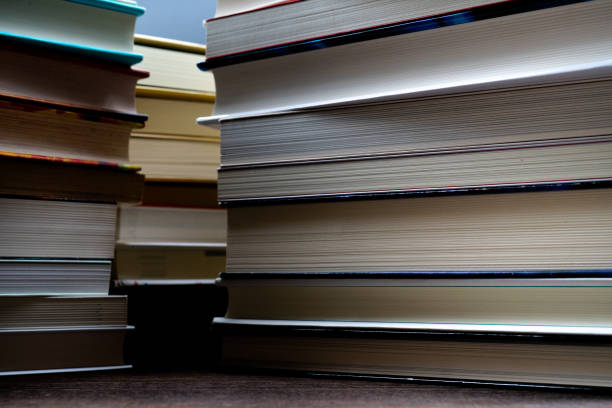 istock Pile of books 1220736503