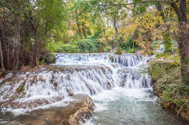 istock small waterfalls in a forest with lush vegetation 1220737736