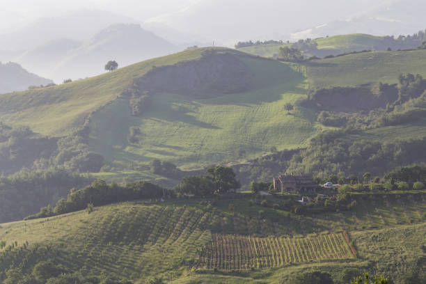 Photo of The rolling landscape of Le Marche in Italy.