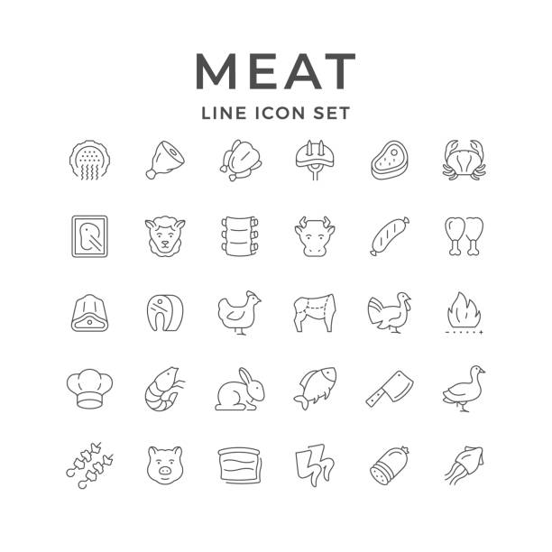 ilustraciones, imágenes clip art, dibujos animados e iconos de stock de establecer iconos de línea de la carne - butcher meat butchers shop steak