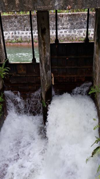 istock beautiful small water fall in kerala 1220743170