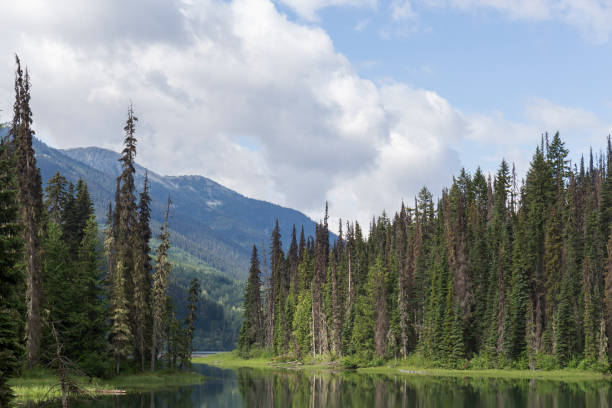calm water lake reflecting trees, mountains and blue sky