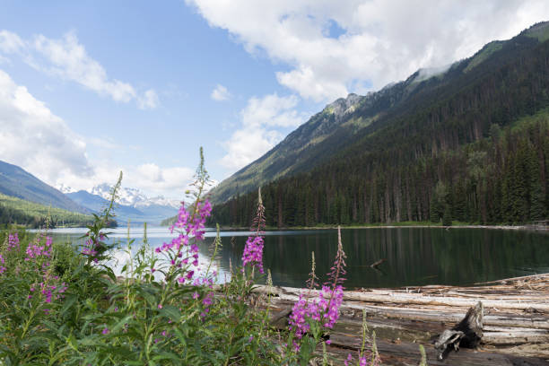 landscape of a lake between mountains, in the foreground we see plants with pink flowers and a trunk