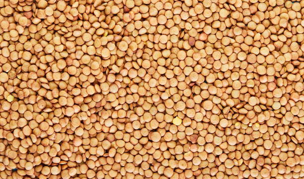 istock Close up lentil background, lentil seeds 1220750971