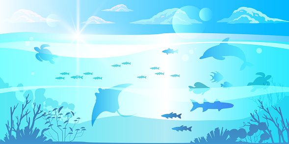 Tropical ocean eco banner with clouds, pure transparent water, sea animals, sun flares. Diving concept