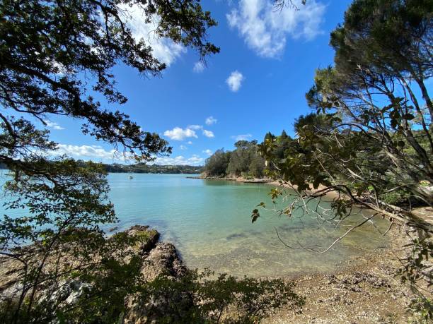 istock Inlet on the trail to Opua 1220755300