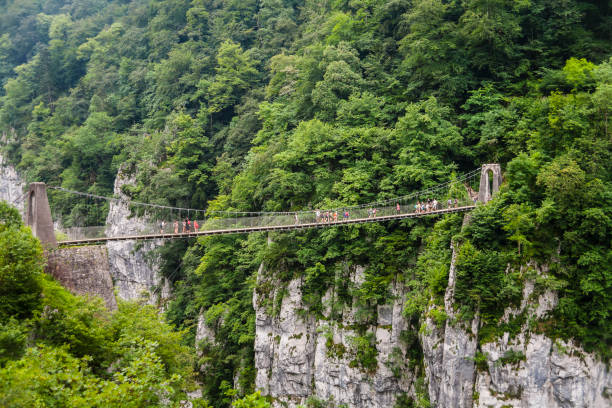 istock Holzarte Gorges,Bridge 1220757540