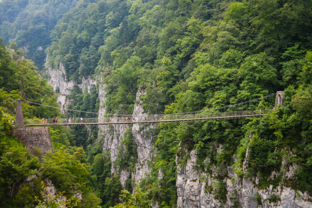 istock Holzarte Gorges,Bridge 1220757547