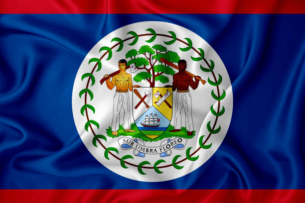 bandeira de belize na textura de fundo. conceito para soluções de designer. - flag of belize - fotografias e filmes do acervo