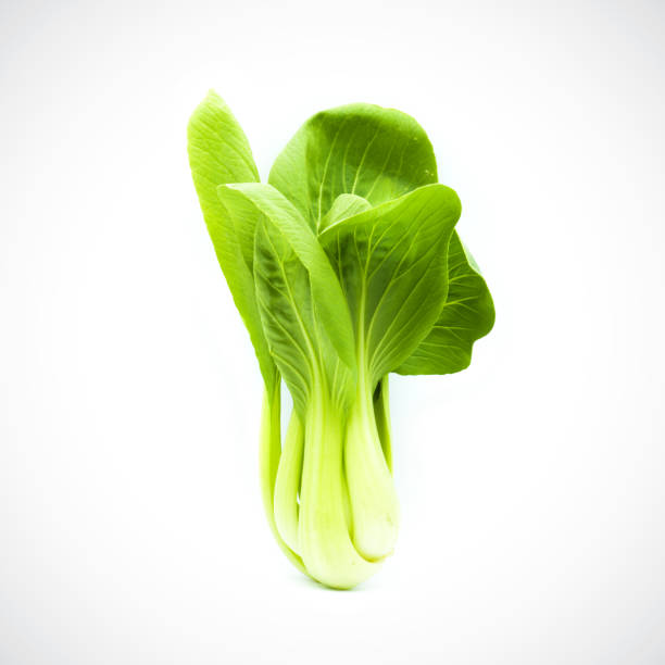 istock Pok Choi green vegetables on white background 1220763298
