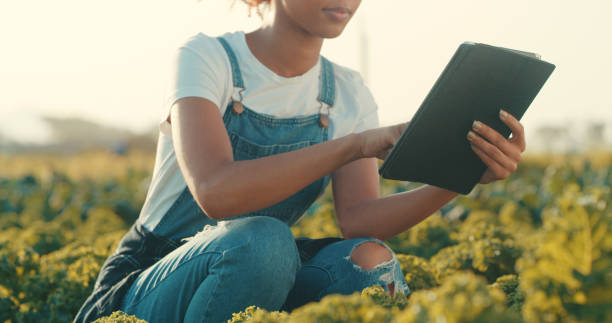 istock She farms with wifi 1220765163