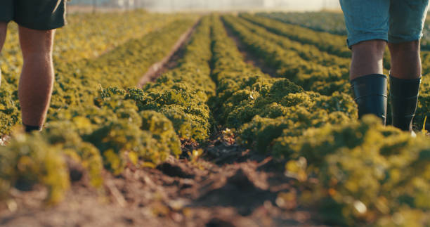 istock They're dedicated to farming 1220765182