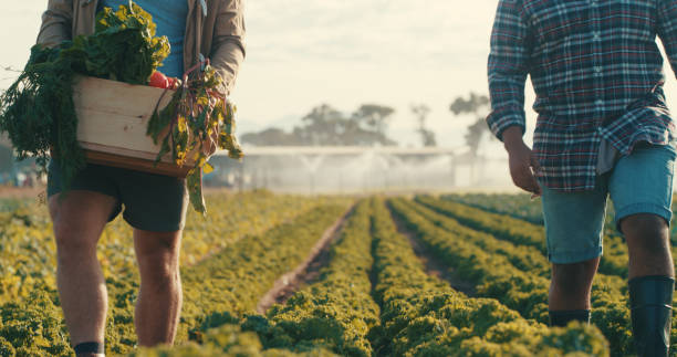 istock Their passion is organic farming 1220765186