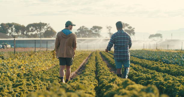 istock They choose the farming business 1220765188