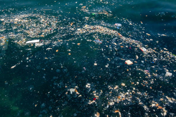 istock Close view to marine pollution 1220767436