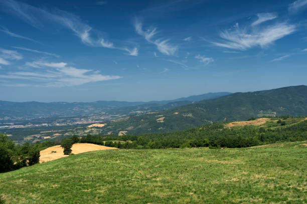 istock Summer landscape near Verna, Tuscany 1220768413