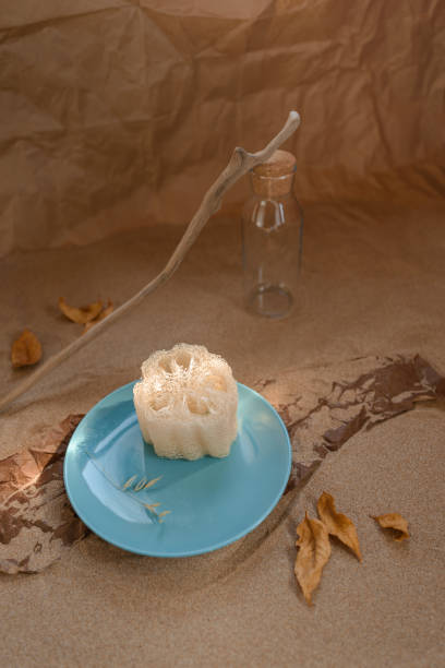 istock Luffa sponge on a ceramic blue trowel. Background sand and craft paper. 1220769023