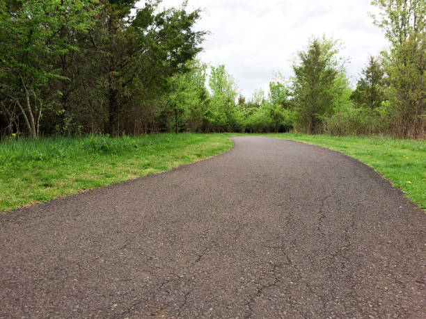 istock Beautiful path for walkway in park 1220770602