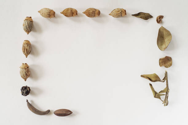 istock Autumn composition. Frame made of leaves on pastel gray background. Autumn, fall concept. Flat lay, top view, copy space 1220771453