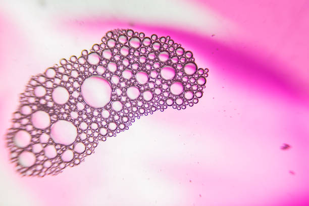 istock Lots of Purple bubbles forming beautiful intricate pattern with space for text or logo 1220772836