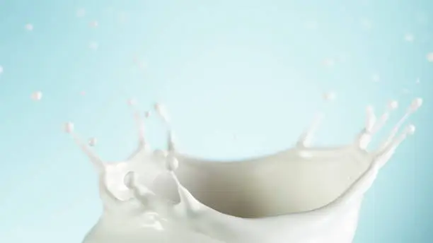 Milk splashes isolated on blue background. Abstract crown shape