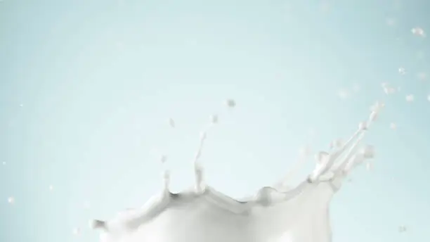 Milk splashes isolated on blue background. Abstract crown shape