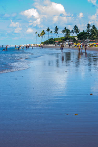 istock Beaches of Brazil - Maracaipe Beach, Ipojuca - Pernambuco state 1220778001